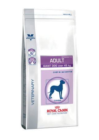 Adult giant dog
